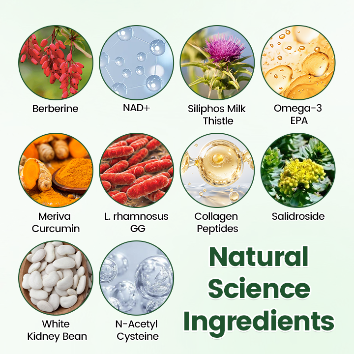 Timilk® Moringa · Berberine + NAD+ 10-in-1 Nano Microneedle Patch